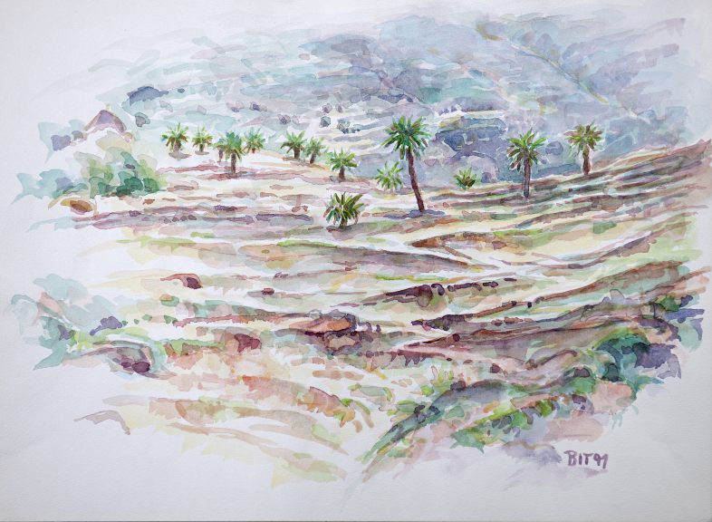 La Gomera-01