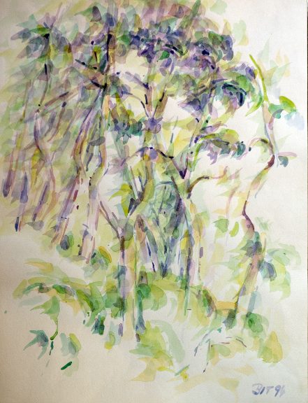 Wald-02