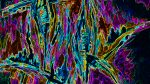 ohne Titel
