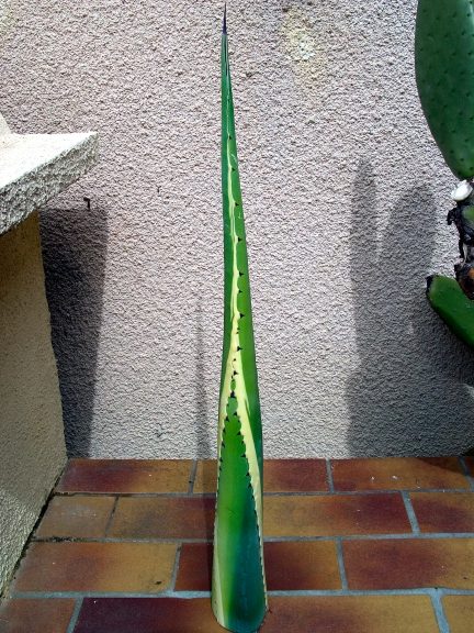 Agave-Original-01