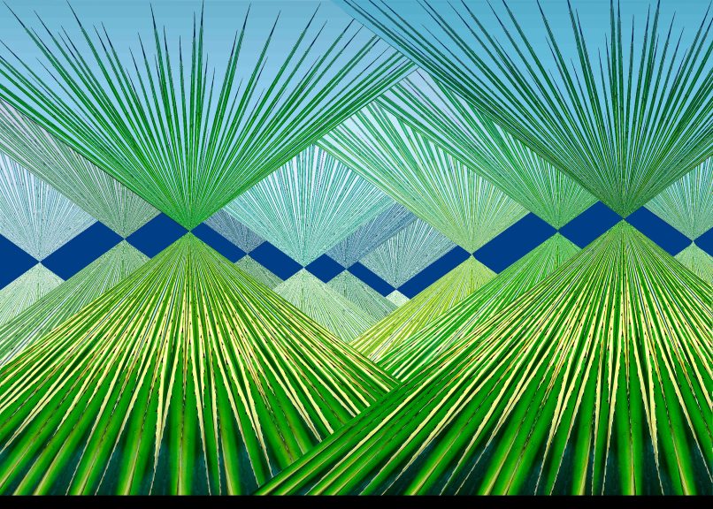 Agave-05
