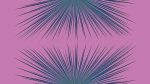 Agave-07