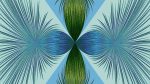 Agave-08