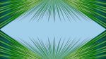Agave-09