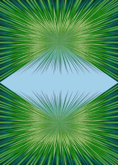 Agave-09
