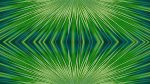 Agave-10