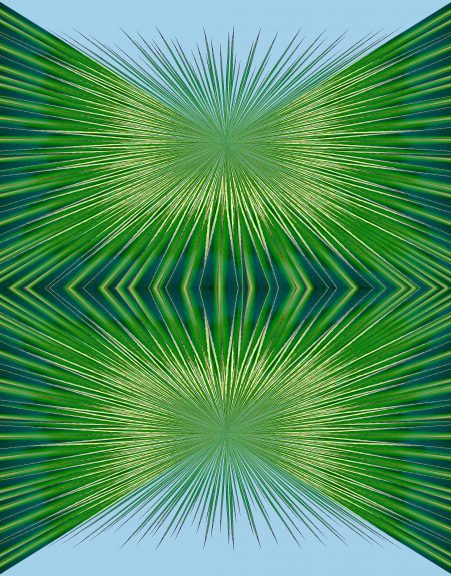 Agave-10