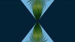 Agave-11