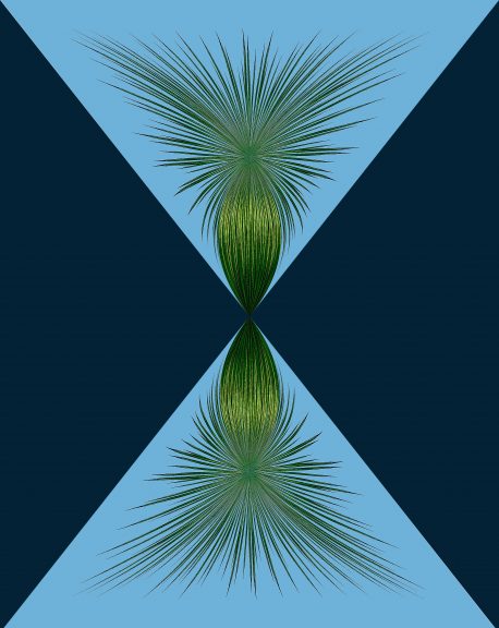 Agave-11