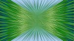 Agave-17
