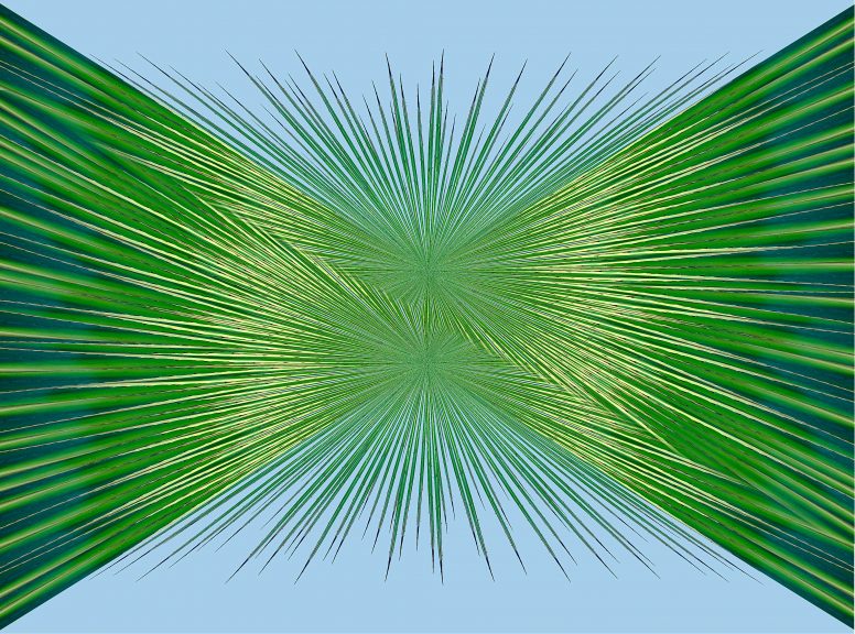 Agave-17
