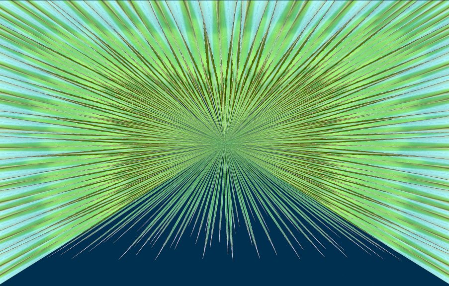 Agave-21