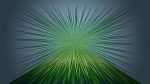Agave-22
