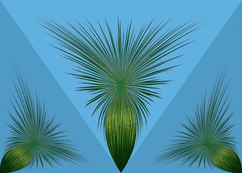 Agave-23