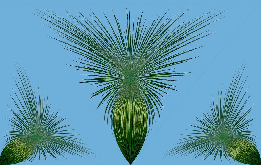 Agave-24