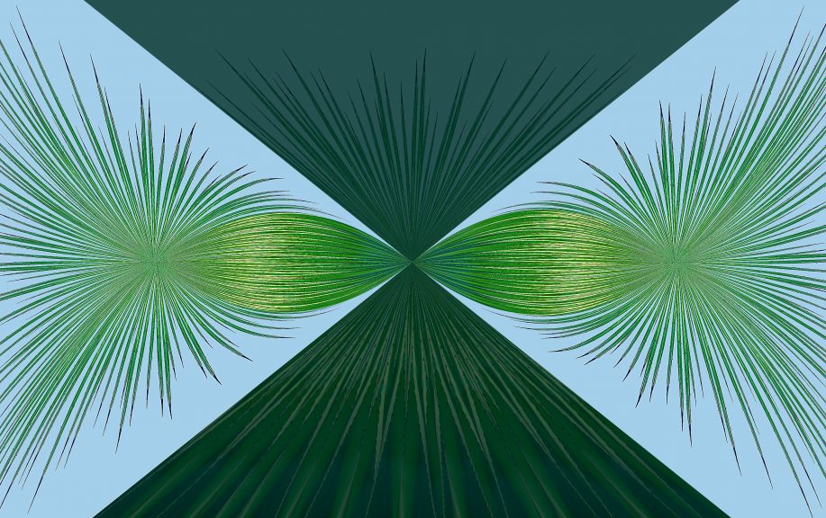 Agave-26