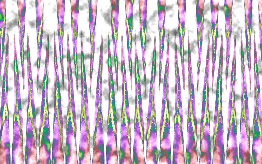 Agave-28