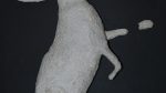 Beuys-Sabine-Hase