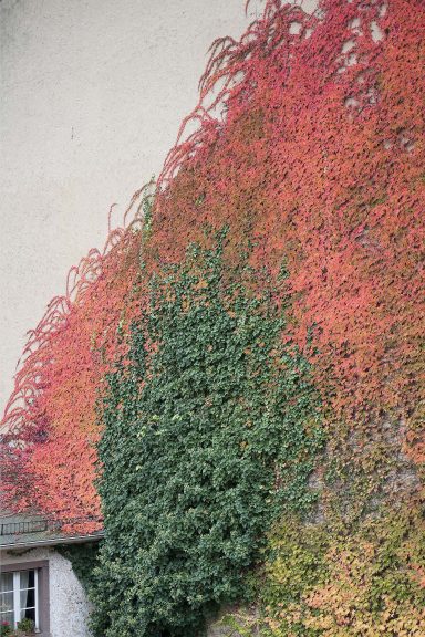 Herbstfarben