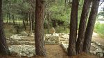 Hommage à Bages