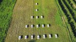 baden gehen – auferstehen