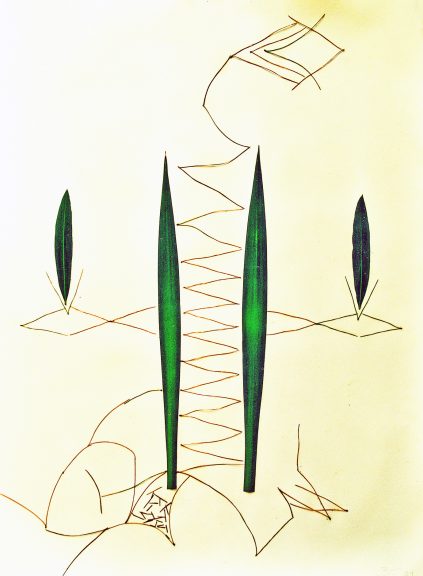 Blatt-Art