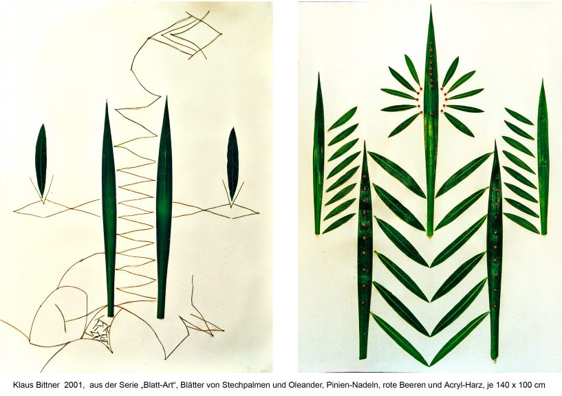 Blatt-Art
