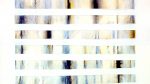 hinter Gittern-03