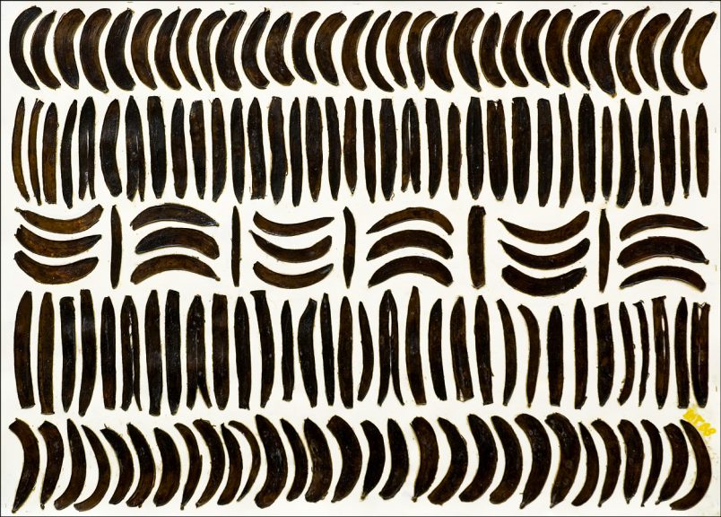 Rhythmus der Banane-04