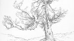 der Baum-01