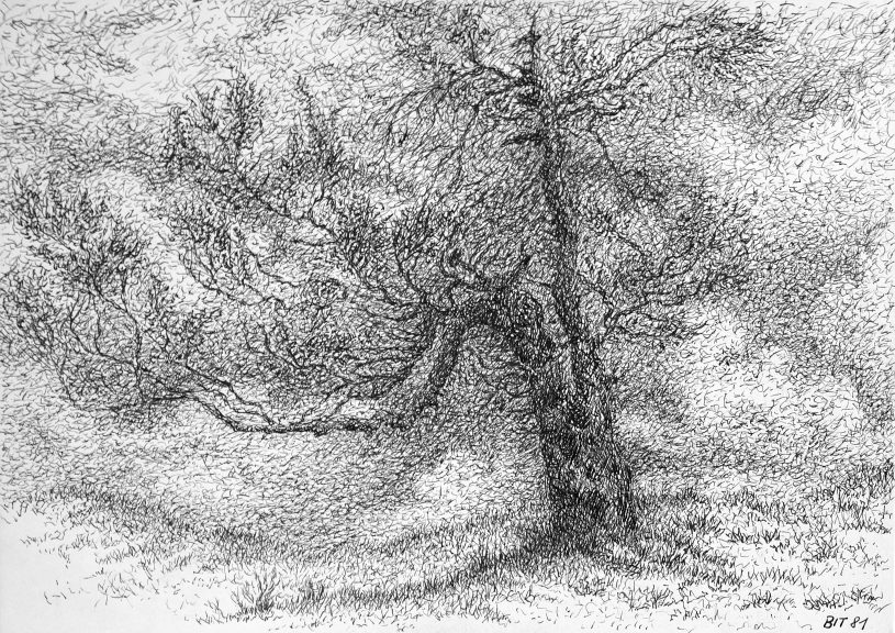 der Baum-02