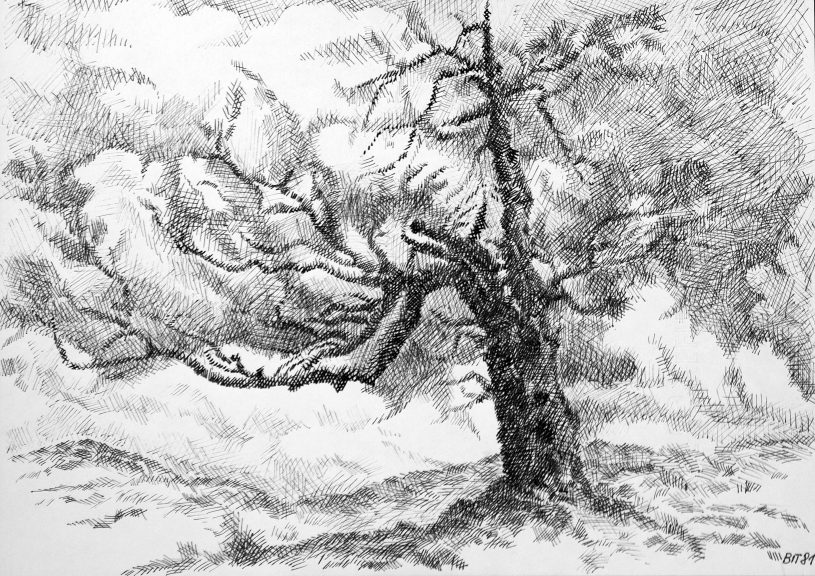 der Baum-03