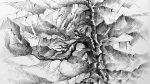 der Baum-06