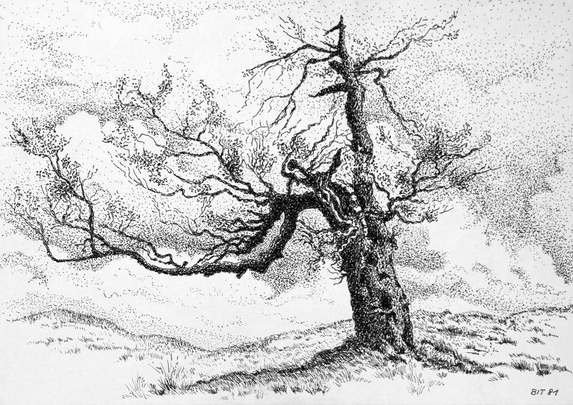 der Baum-10