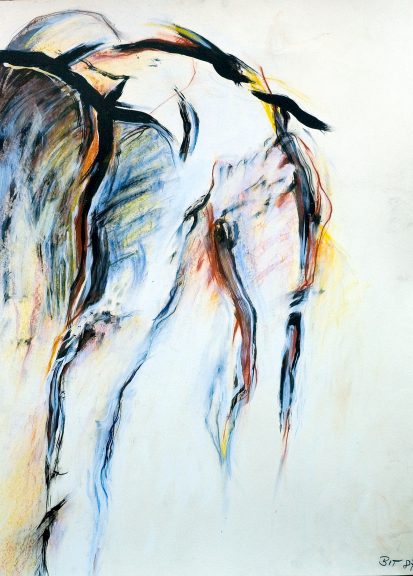 Torso