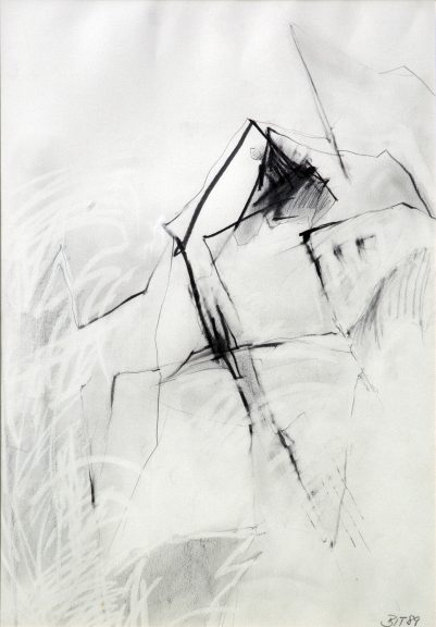 Haus-01