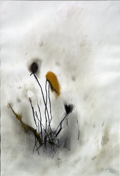Pflanze-02