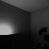 Zimmer-02