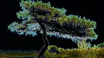 Baum-02