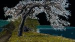Baum-03