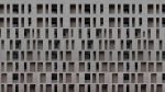 Dead-City-02
