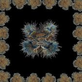 Flora-05