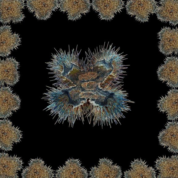 Flora-05