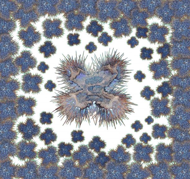 Flora-12