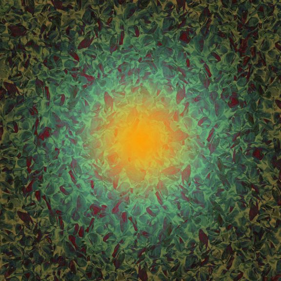 Flora-17