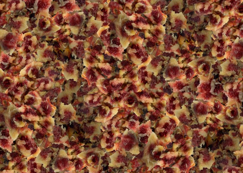 Fruchtfleisch-08