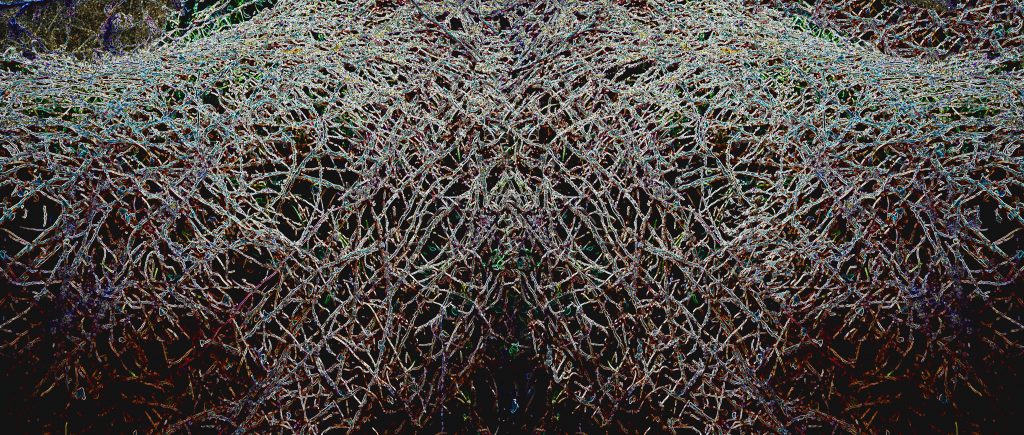 Gestruepp-04