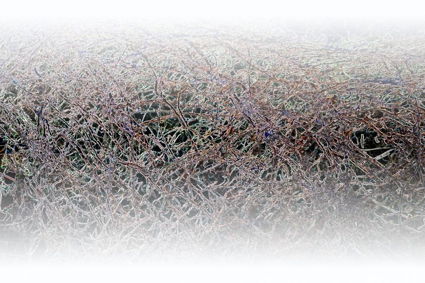 Gestruepp-06