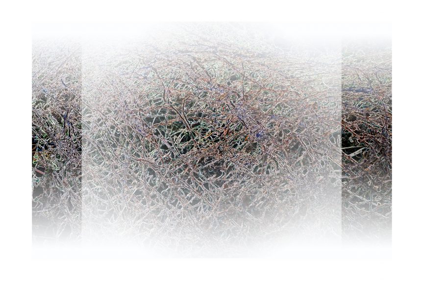 Gestruepp-08