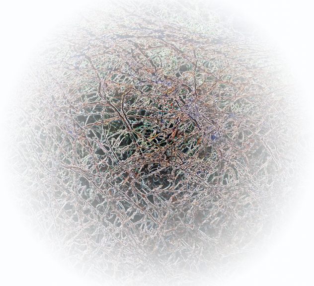 Gestruepp-09